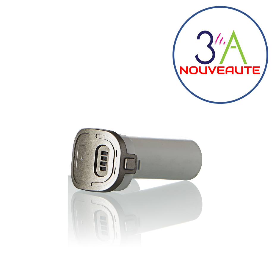 IS/CS 3800 Batterie