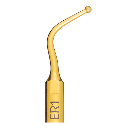 [03450001-001] Insert Mectron ENDO REVISON ER1
