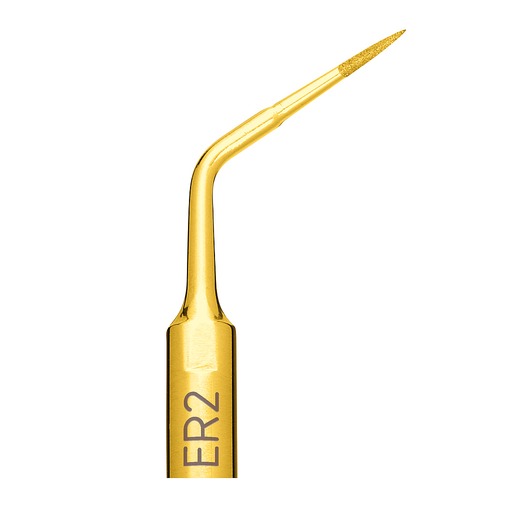 [03450002-001] Insert Mectron ENDO REVISON ER2